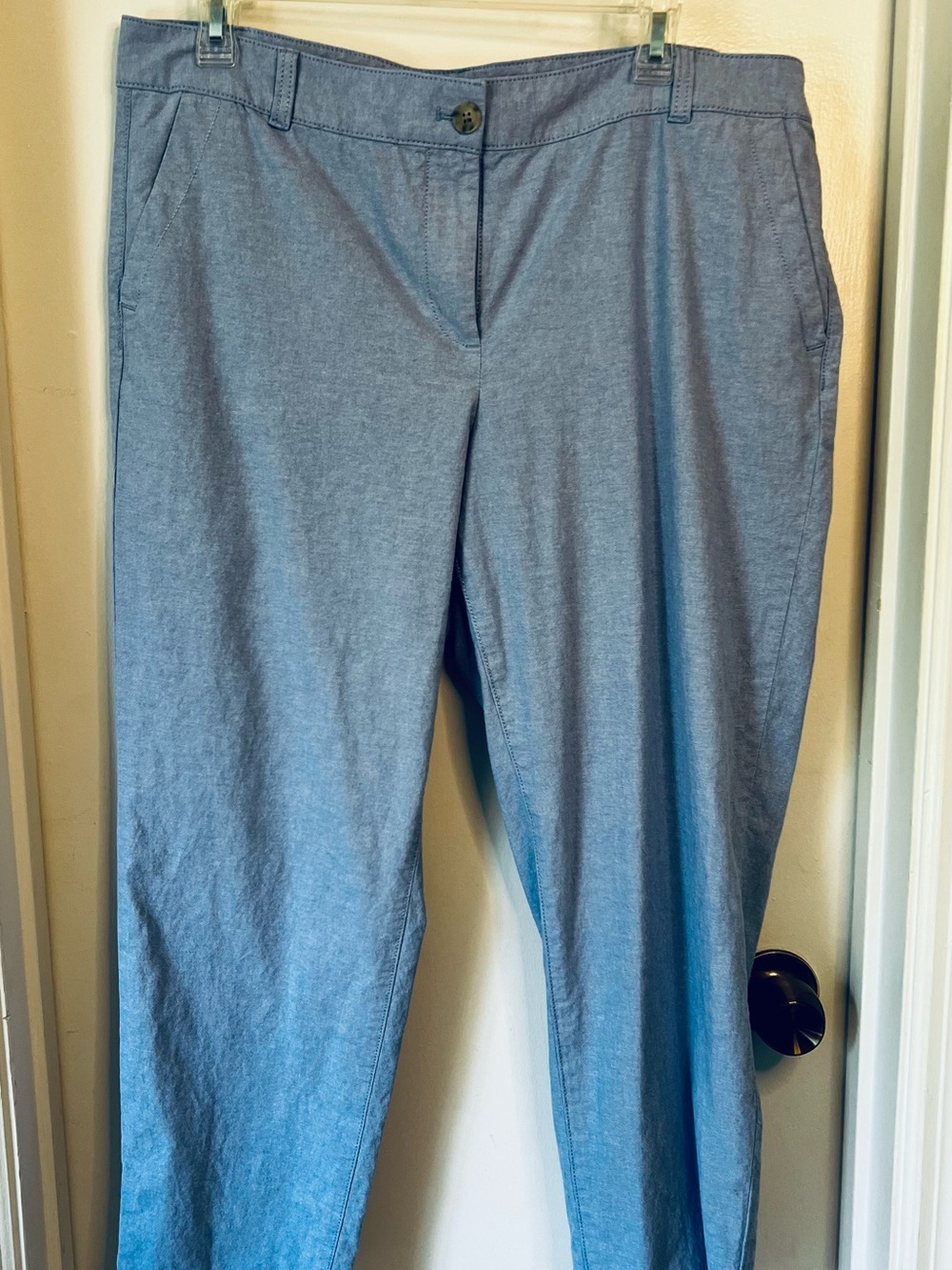 Talbots Chambray Blue Pants